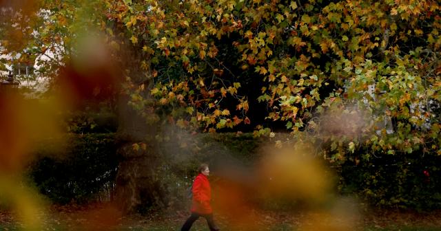 (251028) -- LONDON, Oct. 28, 2025 (Xinhua) -- A woman walks in Regent's Park in London, Britain, Oct. 27, 2025. (Xinhua/Li Ying)