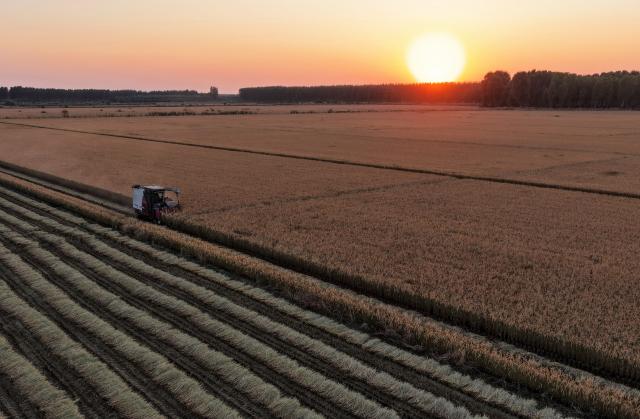 (251028) -- TANGSHAN, Oct. 28, 2025 (Xinhua) -- An aerial drone photo taken on Oct. 27, 2025 shows a farmer harvesting rice in a field in Fengnan District of Tangshan City, north China's Hebei Province. The rice harvest season has arrived in Tangshan City, where farmers are seizing the good weather to accelerate harvesting. (Xinhua/Yang Shiyao)