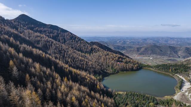 (251028) -- GUYUAN, Oct. 28, 2025 (Xinhua) -- An aerial drone photo taken on Oct. 27, 2025 shows the autumn scenery at the Liupanshan Mountain in Guyuan City, northwest China's Ningxia Hui Autonomous Region. (Xinhua/Wang Peng)