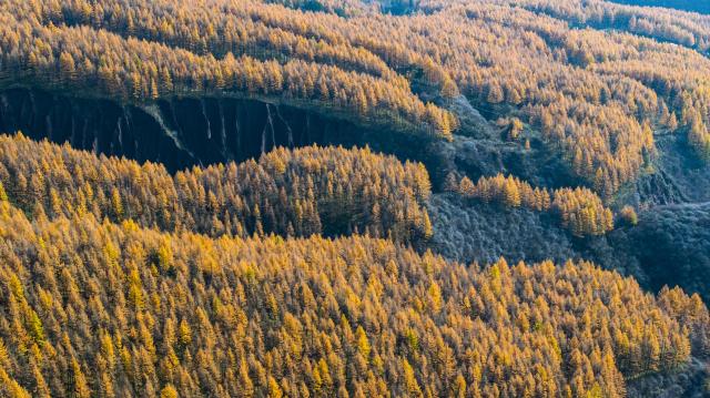 (251028) -- GUYUAN, Oct. 28, 2025 (Xinhua) -- An aerial drone photo taken on Oct. 26, 2025 shows the autumn scenery at the Liupanshan Mountain in Guyuan City, northwest China's Ningxia Hui Autonomous Region. (Xinhua/Wang Peng)