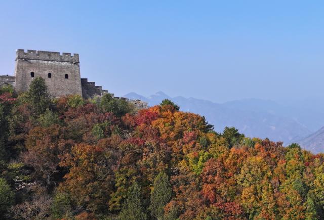 (251029) -- TIANJIN, Oct. 29, 2025 (Xinhua) -- A drone photo taken on Oct. 28, 2025 shows the autumn scenery on the Huangyaguan section of the Great Wall in Jizhou District, north China's Tianjin. Jizhou District of Tianjin has entered the best season to enjoy autumn leaves recently. (Xinhua/Li Ran)