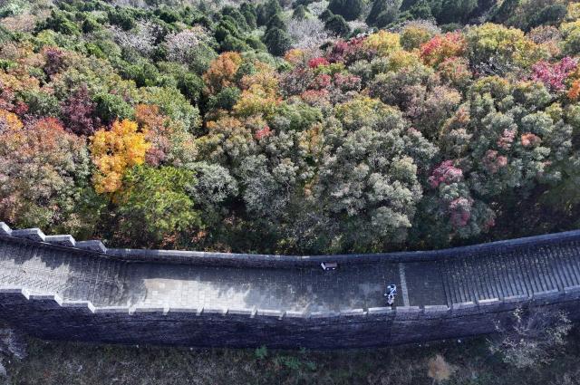 (251029) -- TIANJIN, Oct. 29, 2025 (Xinhua) -- An aerial drone photo taken on Oct. 28, 2025 shows people walking on the Huangyaguan section of the Great Wall in Jizhou District, north China's Tianjin. Jizhou District of Tianjin has entered the best season to enjoy autumn leaves recently. (Xinhua/Li Ran)