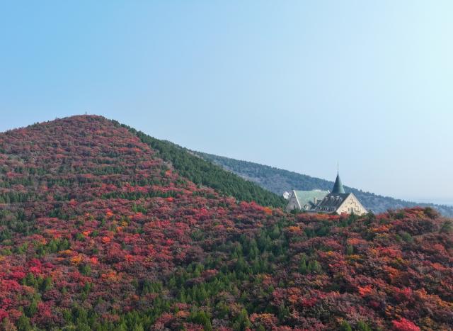 (251029) -- TIANJIN, Oct. 29, 2025 (Xinhua) -- An aerial drone photo taken on Oct. 28, 2025 shows the autumn scenery near a resort hotel in Jizhou District, north China's Tianjin. Jizhou District of Tianjin has entered the best season to enjoy autumn leaves recently. (Xinhua/Li Ran)