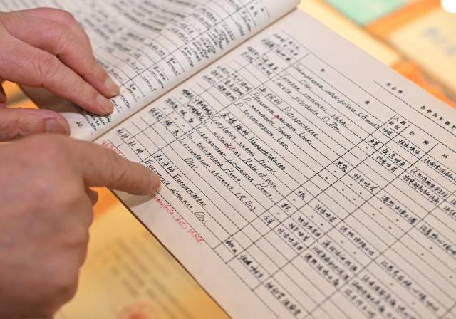 (251029) -- CHENGDU, Oct. 29, 2025 (Xinhua) -- Zhu Zhiyou shows the list of Chinese herbal medicines he recorded at a traditional Chinese medicine hospital in Hongya County, Meishan City, southwest China's Sichuan Province, Oct. 21, 2025. In a clinic of the traditional Chinese medicine hospital in Hongya County, 80-year-old Zhu Zhiyou remains dedicated to clinical practice. As an experienced expert in traditional Chinese medicine (TCM), he has, in over five decades of medical practice, collected and produced more than 10,000 TCM specimens and trained over 100 TCM practitioners.
   In his opinion, to learn TCM, one must understand Chinese herbal medicines, and the most direct way of learning is to collect and make specimens of these medicines.
   He hopes that more people would know about the source and efficacy of medicines and the TCM could be passed down from generation to generation. (Xinhua/Liu Kun)