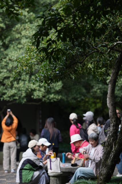 (251029) -- HANGZHOU, Oct. 29, 2025 (Xinhua) -- Tourists enjoy their meal under osmanthus trees at Manjuelong Village in Hangzhou, east China's Zhejiang Province, Oct. 29, 2025. Recently, osmanthus flowers in Hangzhou have entered blooming period. More than 5 million osmanthus trees are planted across the city, according to local authorities. (Xinhua/Huang Zongzhi)