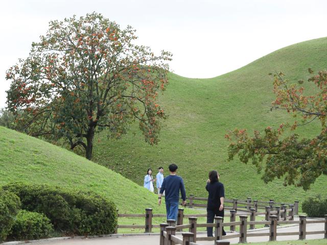 (251029) -- GYEONGJU, Oct. 29, 2025 (Xinhua) -- Tourists visit the Daereungwon ancient tomb complex in Gyeongju, South Korea, Oct. 17, 2025. Gyeongju, a city in southeastern South Korea, is often referred to as an "open-air museum" as it is the city with the most UNESCO World Heritage Sites in the country. (Xinhua/Yao Qilin)