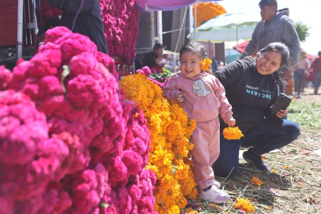 (251029) -- MEXICO CITY, Oct. 29, 2025 (Xinhua) -- A girl plays with marigold flowers, known as cempasuchil, used during Day of the Dead celebrations, at the central de Abasto market in Mexico City, Oct. 29, 2025. (Xinhua/Li Mengxin)