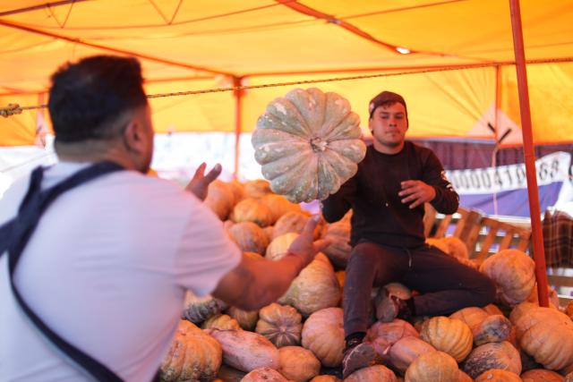 (251029) -- MEXICO CITY, Oct. 29, 2025 (Xinhua) -- Vendors unload pumpkin ahead of Day of the Dead celebrations, at the central de Abasto market in Mexico City, Oct. 29, 2025. (Photo by Francisco Canedo/Xinhua)