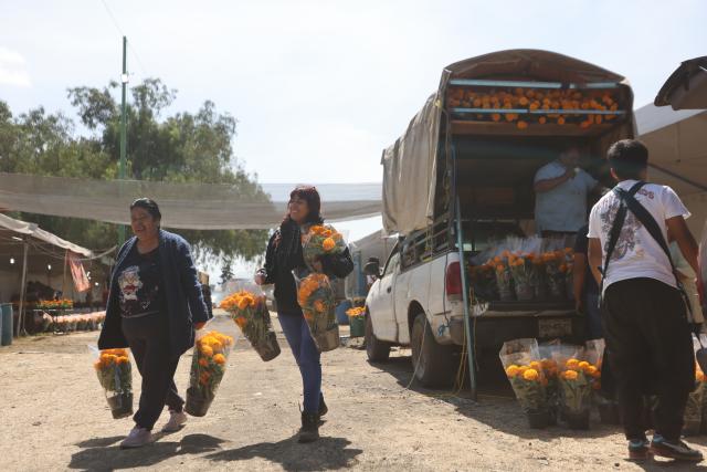 (251029) -- MEXICO CITY, Oct. 29, 2025 (Xinhua) -- People buy marigold flowers, known as cempasuchil, used during Day of the Dead celebrations, at the central de Abasto market in Mexico City, Oct. 29, 2025. (Xinhua/Li Mengxin)