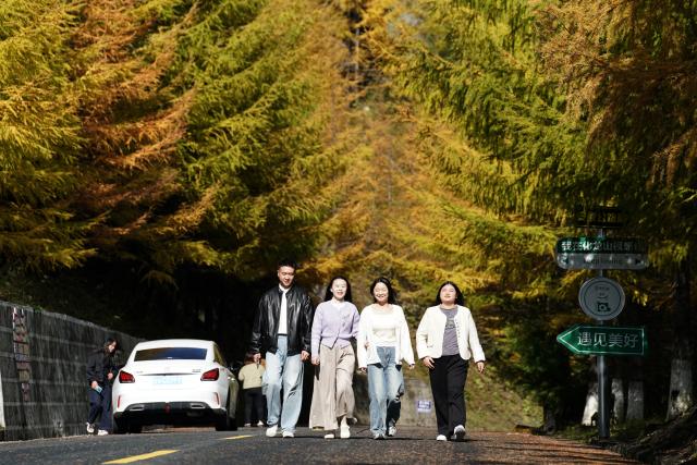 (251030) -- ANKANG, Oct. 30, 2025 (Xinhua) -- Tourists visit the Hualong Mountain in Zhenping County, Ankang City, northwest China's Shaanxi Province, Oct. 30, 2025. Zhenping County, with a forest coverage rate of 88.82 percent, has leveraged its natural resources in recent years to develop healthcare tourism industry, boosting local economy. (Xinhua/Shao Rui)