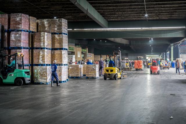 (251030) -- JOHANNESBURG, Oct. 30, 2025 (Xinhua) -- Workers drive forklifts to load boxes of fruits onto trucks at the Johannesburg Fresh Produce Market in South Africa, on Oct. 29, 2025. In recent days, South African fruit traders have been actively stocking up on fruit for export to China. According to a recent trade agreement reached between the South African and Chinese governments, South Africa is authorized to export five types of fruits, including apricots, peaches, nectarines, plums, and prunes, to China. (Photo by Shiraaz Mohamed/Xinhua)