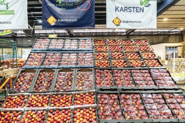 (251030) -- JOHANNESBURG, Oct. 30, 2025 (Xinhua) -- Trays of nectarines are seen on a shelf at the Johannesburg Fresh Produce Market in South Africa, on Oct. 29, 2025. In recent days, South African fruit traders have been actively stocking up on fruit for export to China. According to a recent trade agreement reached between the South African and Chinese governments, South Africa is authorized to export five types of fruits, including apricots, peaches, nectarines, plums, and prunes, to China. (Photo by Shiraaz Mohamed/Xinhua)