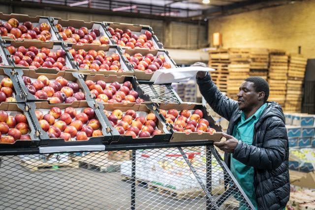 (251030) -- JOHANNESBURG, Oct. 30, 2025 (Xinhua) -- A worker packs nectarines at the Johannesburg Fresh Produce Market in South Africa, on Oct. 29, 2025. In recent days, South African fruit traders have been actively stocking up on fruit for export to China. According to a recent trade agreement reached between the South African and Chinese governments, South Africa is authorized to export five types of fruits, including apricots, peaches, nectarines, plums, and prunes, to China. (Photo by Shiraaz Mohamed/Xinhua)