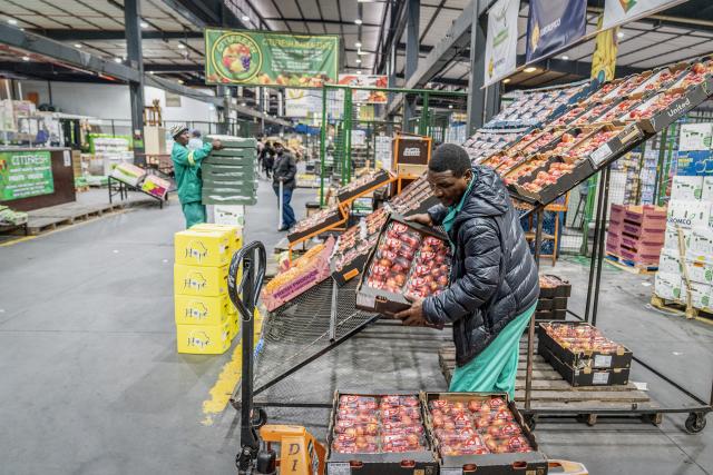 (251030) -- JOHANNESBURG, Oct. 30, 2025 (Xinhua) -- A worker packs nectarines at the Johannesburg Fresh Produce Market in South Africa, on Oct. 29, 2025. In recent days, South African fruit traders have been actively stocking up on fruit for export to China. According to a recent trade agreement reached between the South African and Chinese governments, South Africa is authorized to export five types of fruits, including apricots, peaches, nectarines, plums, and prunes, to China. (Photo by Shiraaz Mohamed/Xinhua)