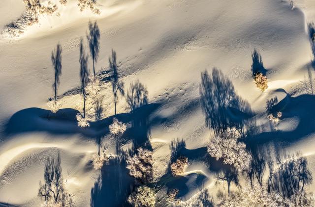 (251031) -- EJINA BANNER, Oct. 31, 2025 (Xinhua) -- An aerial drone photo taken on Oct. 30, 2025 shows the scenery of a populus euphratica forest in Ejina Banner, north China's Inner Mongolia Autonomous Region. (Xinhua/Lian Zhen)