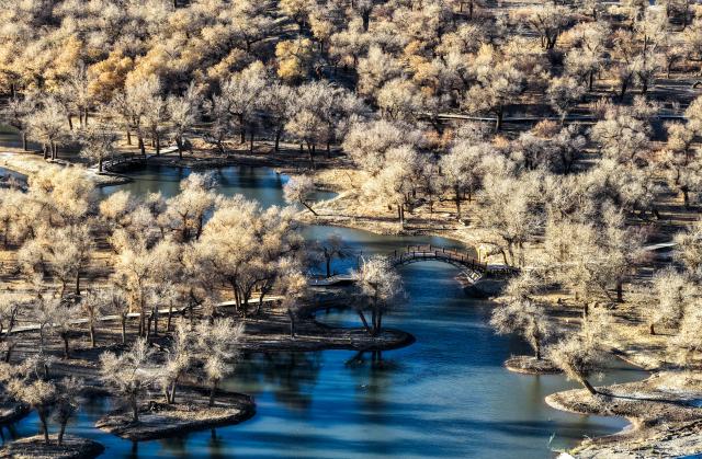 (251031) -- EJINA BANNER, Oct. 31, 2025 (Xinhua) -- An aerial drone photo taken on Oct. 30, 2025 shows the scenery of a populus euphratica forest in Ejina Banner, north China's Inner Mongolia Autonomous Region. (Xinhua/Lian Zhen)