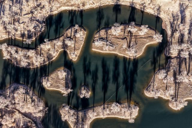 (251031) -- EJINA BANNER, Oct. 31, 2025 (Xinhua) -- An aerial drone photo taken on Oct. 30, 2025 shows the scenery of a populus euphratica forest in Ejina Banner, north China's Inner Mongolia Autonomous Region. (Xinhua/Lian Zhen)