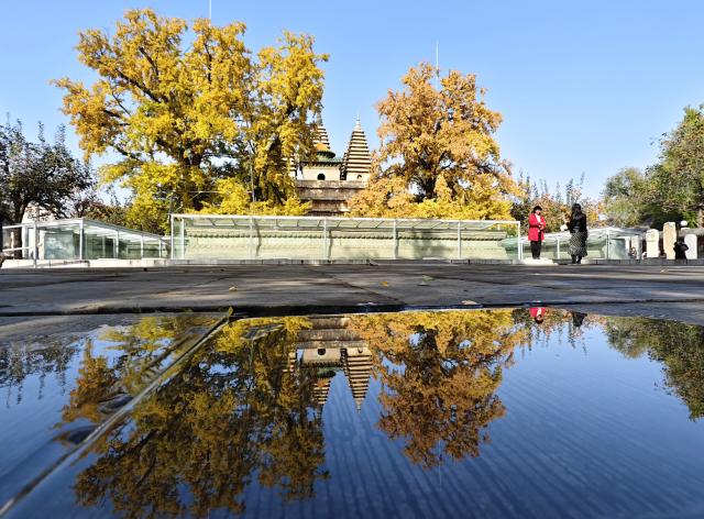 (251031) -- BEIJING, Oct. 31, 2025 (Xinhua) -- This photo taken by a mobile phone on Oct. 31, 2025 shows tourists visiting Wuta (five-pagoda) Temple in Beijing, capital of China. (Xinhua/Xu Jinquan)