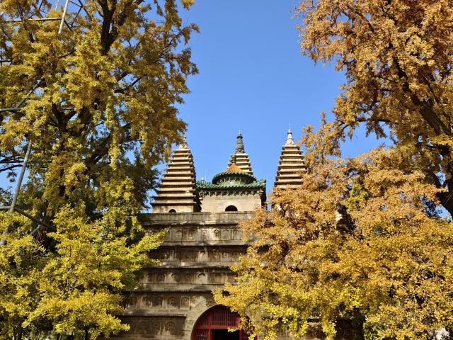 (251031) -- BEIJING, Oct. 31, 2025 (Xinhua) -- This photo taken by a mobile phone on Oct. 31, 2025 shows a view of Wuta (five-pagoda) Temple in Beijing, capital of China. (Xinhua/Xu Jinquan)