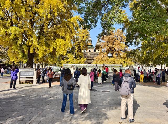 (251031) -- BEIJING, Oct. 31, 2025 (Xinhua) -- This photo taken by a mobile phone on Oct. 31, 2025 shows tourists visiting Wuta (five-pagoda) Temple in Beijing, capital of China. (Xinhua/Xu Jinquan)