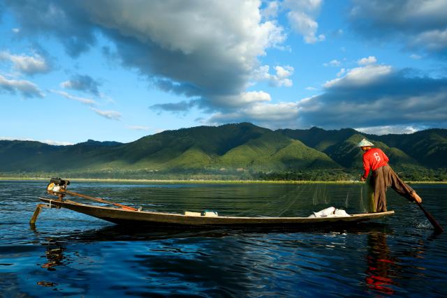 (251101) -- NYAUNGSHWE, Nov. 1, 2025 (Xinhua) -- A fisherman catches fish on Inle Lake at Nyaungshwe township in Shan state, Myanmar, Oct. 31, 2025. (Xinhua/Myo Kyaw Soe)