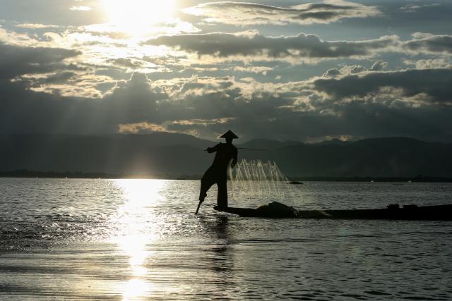 (251101) -- NYAUNGSHWE, Nov. 1, 2025 (Xinhua) -- A fisherman catches fish on Inle Lake at Nyaungshwe township in Shan state, Myanmar, Oct. 31, 2025. (Xinhua/Myo Kyaw Soe)