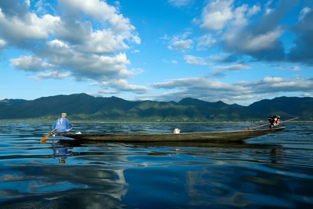 (251101) -- NYAUNGSHWE, Nov. 1, 2025 (Xinhua) -- A fisherman catches fish on Inle Lake at Nyaungshwe township in Shan state, Myanmar, Oct. 31, 2025. (Xinhua/Myo Kyaw Soe)