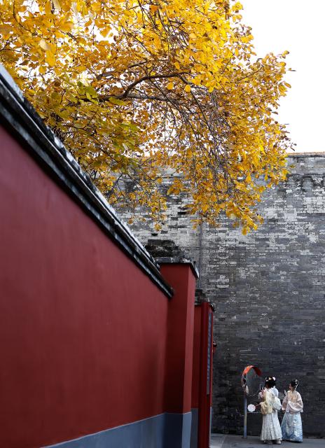 (251101) -- BEIJING, Nov. 1, 2025 (Xinhua) -- Tourists wearing traditional Chinese costumes take photos at the Palace Museum in Beijing, capital of China, Nov. 1, 2025. (Xinhua/Wang Lili)