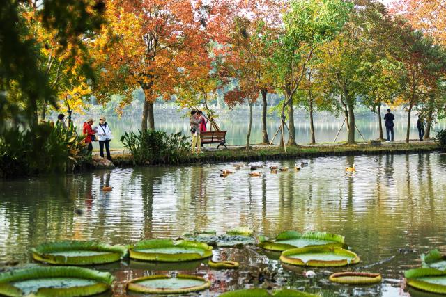 (251102) -- BEIJING, Nov. 2, 2025 (Xinhua) -- People enjoy autumn scenery at Nanjing Zhongshan Botanical Garden in Nanjing, east China's Jiangsu Province, Nov. 2, 2025. (Photo by Sun Zhongnan/Xinhua)
