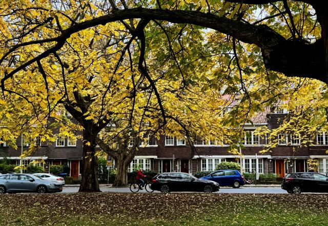 (251103) -- THE HAGUE, Nov. 3, 2025 (Xinhua) -- This photo taken on Nov. 2, 2025 shows the autumn scenery of the city of The Hague in the Netherlands. (Xinhua/Shao Haijun)