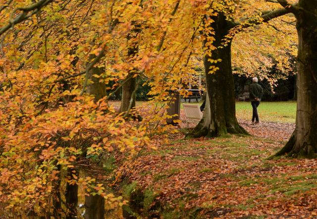 (251103) -- THE HAGUE, Nov. 3, 2025 (Xinhua) -- A man walks at a park in The Hague, the Netherlands, Nov. 2, 2025. (Xinhua/Shao Haijun)