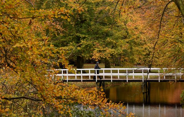 (251103) -- THE HAGUE, Nov. 3, 2025 (Xinhua) -- People walk at a park in The Hague, the Netherlands, Nov. 2, 2025. (Xinhua/Shao Haijun)