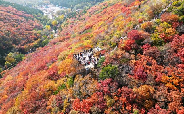 (251103) -- BEIJING, Nov. 3, 2025 (Xinhua) -- An aerial drone photo taken on Nov. 1, 2025 shows people visiting the Shimenfang scenic spot in Weifang City, east China's Shandong Province. (Photo by Li Zhijun/Xinhua)