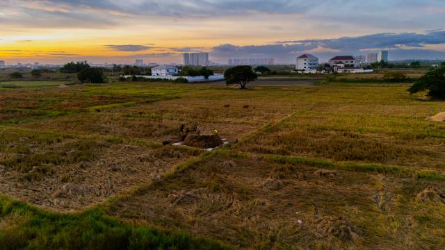 (251103) -- VIENTIANE, Nov. 3, 2025 (Xinhua) -- An aerial drone photo taken on Nov. 2, 2025 shows farmers harvesting rice in a rice field in Vientiane, Laos. Local farmers have recently been busy harvesting the rice as the harvest season comes. (Photo by Kaikeo Saiyasane/Xinhua)