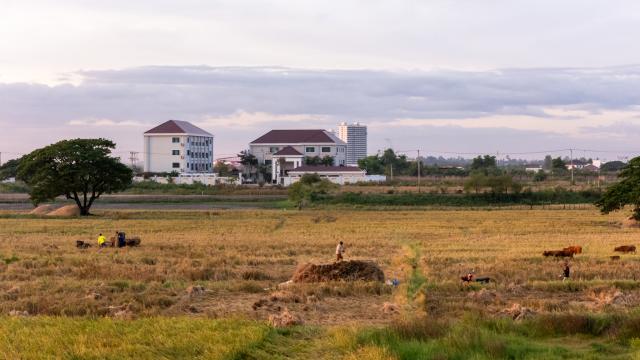 (251103) -- VIENTIANE, Nov. 3, 2025 (Xinhua) -- An aerial drone photo taken on Nov. 2, 2025 shows farmers harvesting rice in a rice field in Vientiane, Laos. Local farmers have recently been busy harvesting the rice as the harvest season comes. (Photo by Kaikeo Saiyasane/Xinhua)