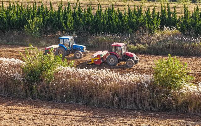 (251103) -- BEIJING, Nov. 3, 2025 (Xinhua) -- An aerial drone photo shows farmers sowing wheat in a field in Rongcheng City, east China's Shandong Province, Nov. 3, 2025. As of October 30, over 90% of the autumn grain have been harvested and over 25% of the winter wheat have been sowed across the country. (Photo by Li Xinjun/Xinhua)