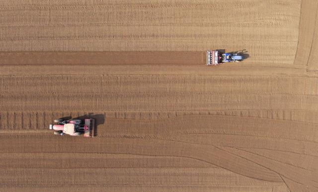 (251103) -- BEIJING, Nov. 3, 2025 (Xinhua) -- An aerial drone photo shows farmers sowing wheat in a field in Xinle City, north China's Hebei Province, Nov. 3, 2025. As of October 30, over 90% of the autumn grain have been harvested and over 25% of the winter wheat have been sowed across the country. (Photo by Jia Minjie/Xinhua)