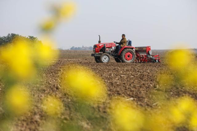 (251104) -- BEIJING, Nov. 4, 2025 (Xinhua) -- A farmer sows wheat in a field in Pingdingshan City, central China's Henan Province, Nov. 3, 2025. (Photo by He Wuchang/Xinhua)