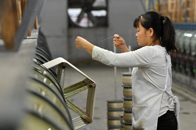 (251104) -- LAIBIN, Nov. 4, 2025 (Xinhua) -- A worker is busy at a silk factory in Xincheng County of Laibin, south China's Guangxi Zhuang Autonomous Region, on Nov. 4, 2025. Xincheng County of Guangxi, boasting a long history of mulberry planting and silkworm raising, has endeavored to extend the silkworm industry chain in recent years. The silkworm industry has boosted the growth of local income and enriched farmers. (Xinhua/Lu Boan)