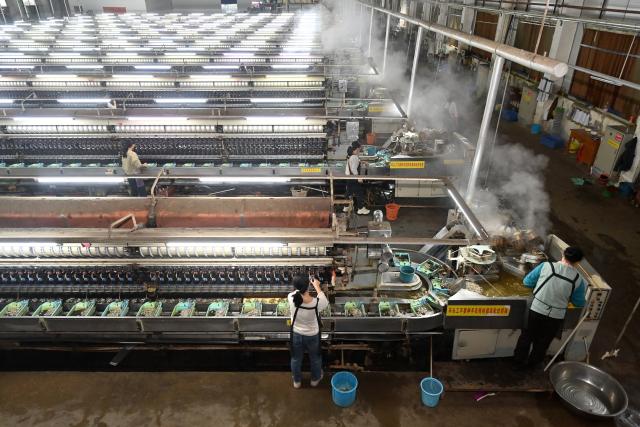 (251104) -- LAIBIN, Nov. 4, 2025 (Xinhua) -- Workers are busy at a silk factory in Xincheng County of Laibin, south China's Guangxi Zhuang Autonomous Region, on Nov. 4, 2025. Xincheng County of Guangxi, boasting a long history of mulberry planting and silkworm raising, has endeavored to extend the silkworm industry chain in recent years. The silkworm industry has boosted the growth of local income and enriched farmers. (Xinhua/Lu Boan)
