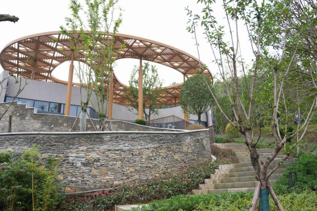 (251104) -- CHENGDU, Nov. 4, 2025 (Xinhua) -- This photo taken on Nov. 4, 2025 shows a view of the Mianyang base of China Conservation and Research Center for the Giant Panda in Mianyang City, southwest China's Sichuan Province. The Mianyang base of China Conservation and Research Center for the Giant Panda, which took three years to build, was put into trial operation on Tuesday. Thirteen pandas from Wolong Shenshuping and Dujiangyan bases of China Conservation and Research Center for the Giant Panda moved into their new home at the newly opened Mianyang base on the day.
   The Mianyang giant panda base, covering an area of about 120 hectares, is located at an ecological park in Mianyang City. The base boasts more than 50 sets of giant panda enclosures with beautiful environment and meeting the requirements of giant panda breeding. (Xinhua/Xu Bingjie)