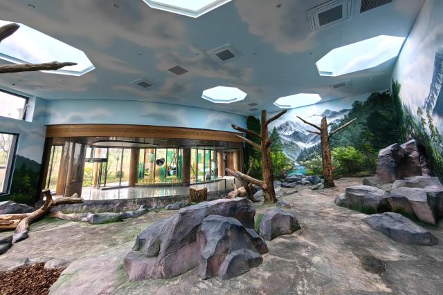 (251104) -- CHENGDU, Nov. 4, 2025 (Xinhua) -- This photo taken on Nov. 4, 2025 shows an indoor venue for giant pandas at the Mianyang base of China Conservation and Research Center for the Giant Panda in Mianyang City, southwest China's Sichuan Province. The Mianyang base of China Conservation and Research Center for the Giant Panda, which took three years to build, was put into trial operation on Tuesday. Thirteen pandas from Wolong Shenshuping and Dujiangyan bases of China Conservation and Research Center for the Giant Panda moved into their new home at the newly opened Mianyang base on the day.
   The Mianyang giant panda base, covering an area of about 120 hectares, is located at an ecological park in Mianyang City. The base boasts more than 50 sets of giant panda enclosures with beautiful environment and meeting the requirements of giant panda breeding. (Xinhua)
