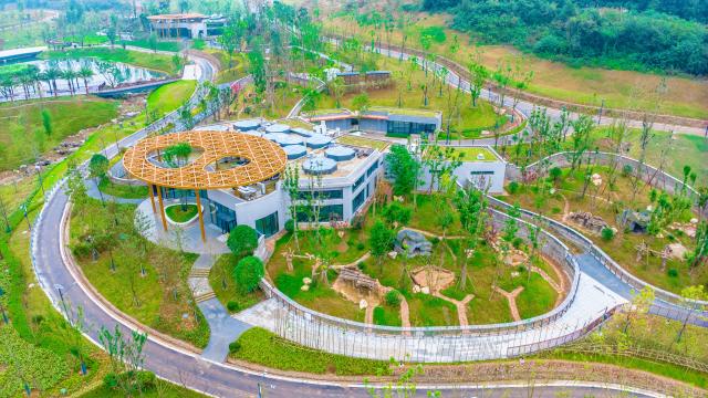 (251104) -- CHENGDU, Nov. 4, 2025 (Xinhua) -- An aerial drone photo taken in October 2025 shows the Mianyang base of China Conservation and Research Center for the Giant Panda in Mianyang City, southwest China's Sichuan Province. The Mianyang base of China Conservation and Research Center for the Giant Panda, which took three years to build, was put into trial operation on Tuesday. Thirteen pandas from Wolong Shenshuping and Dujiangyan bases of China Conservation and Research Center for the Giant Panda moved into their new home at the newly opened Mianyang base on the day.
   The Mianyang giant panda base, covering an area of about 120 hectares, is located at an ecological park in Mianyang City. The base boasts more than 50 sets of giant panda enclosures with beautiful environment and meeting the requirements of giant panda breeding. (Xinhua)