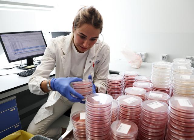 (251104) -- ROME, Nov. 4, 2025 (Xinhua) -- A staff member conducts probiotics test in the headquarters of Inalpi in Moretta, Italy, Oct. 30, 2025. TO GO WITH "Roundup: Italian agri-food firms eye CIIE as gateway to Chinese market" (Xinhua/Li Jing)