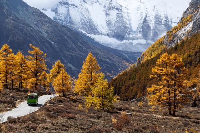 (251106) -- DAOCHENG, Nov. 6, 2025 (Xinhua) -- A shuttle bus for tourists runs on a road at the Yading scenic spot in Daocheng County of Tibetan Autonomous Prefecture of Garze, southwest China's Sichuan Province, Oct. 29, 2025. The Yading scenic spot is in its best viewing season recently, attracting flocks of tourists there. (Xinhua/Jiang Hongjing)