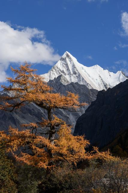(251106) -- DAOCHENG, Nov. 6, 2025 (Xinhua) -- This photo taken on Oct. 26, 2025 shows a view of the Yading scenic spot in Daocheng County of Tibetan Autonomous Prefecture of Garze, southwest China's Sichuan Province. The Yading scenic spot is in its best viewing season recently, attracting flocks of tourists there. (Xinhua/Jiang Hongjing)