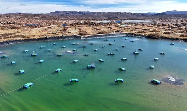 (251106) -- DAOCHENG, Nov. 6, 2025 (Xinhua) -- An aerial drone photo taken on Oct. 28, 2025 shows a view of the Large High Altitude Air Shower Observatory (LHAASO) in Daocheng County, Ganzi Tibetan Autonomous Prefecture, southwest China's Sichuan Province. LHAASO, located at an altitude of 4,410 meters on Mount Haizi in Daocheng County, began regular operations in July 2021. It has since been recognized as a leading international facility with the world's highest sensitivity and accuracy for gamma-ray and cosmic-ray detection. (Xinhua/Liu Kun)