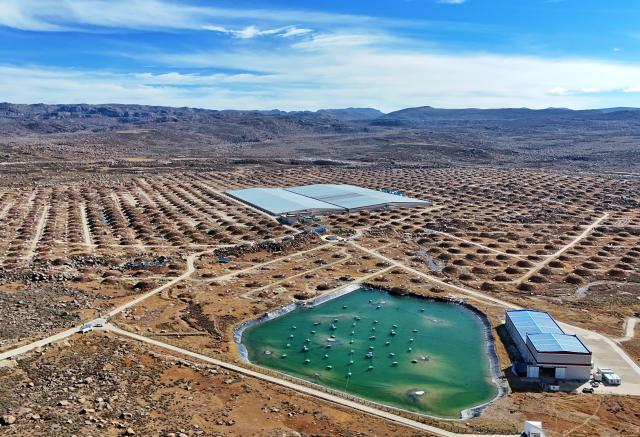 (251106) -- DAOCHENG, Nov. 6, 2025 (Xinhua) -- An aerial drone photo taken on Oct. 28, 2025 shows a view of the Large High Altitude Air Shower Observatory (LHAASO) in Daocheng County, Ganzi Tibetan Autonomous Prefecture, southwest China's Sichuan Province. LHAASO, located at an altitude of 4,410 meters on Mount Haizi in Daocheng County, began regular operations in July 2021. It has since been recognized as a leading international facility with the world's highest sensitivity and accuracy for gamma-ray and cosmic-ray detection. (Xinhua/Liu Kun)