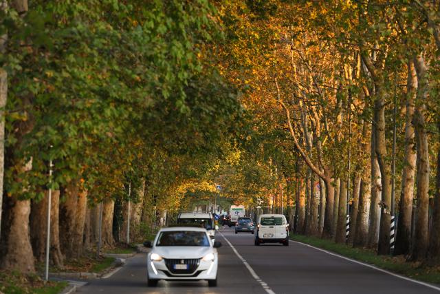 (251106) -- MILAN, Nov. 6, 2025 (Xinhua) -- This photo taken on Nov. 4, 2025 shows the autumn scenery in Milan, Italy. (Xinhua/Li Jing)