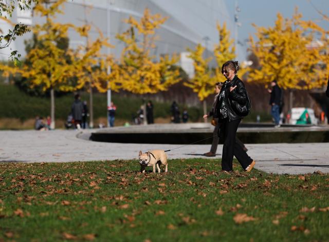 (251106) -- MILAN, Nov. 6, 2025 (Xinhua) -- A woman walks her dog at a small park in the urban district in Milan, Italy, Nov. 5, 2025. (Xinhua/Li Jing)